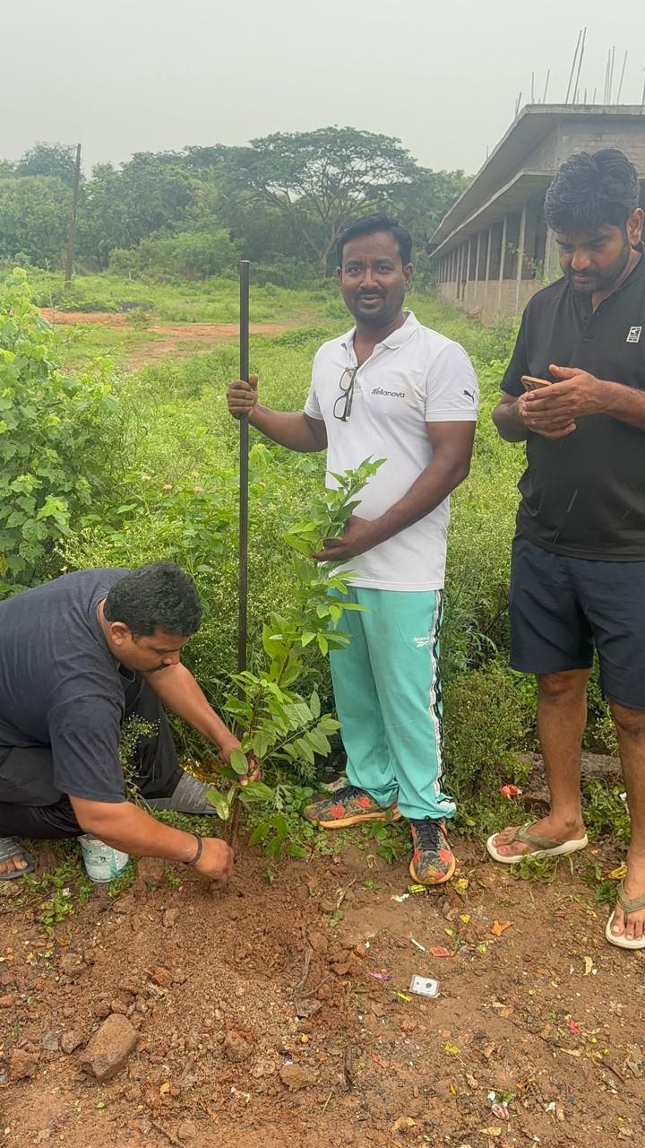 Volunteers planting a sapling in an open field